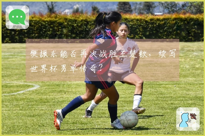 樊振东能否再次战胜王楚钦，续写世界杯男单传奇？